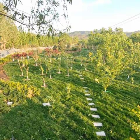 五一假期不打烊 砥砺奋斗我在岗——西戌镇扎实做好“五一”期间各项重点工作