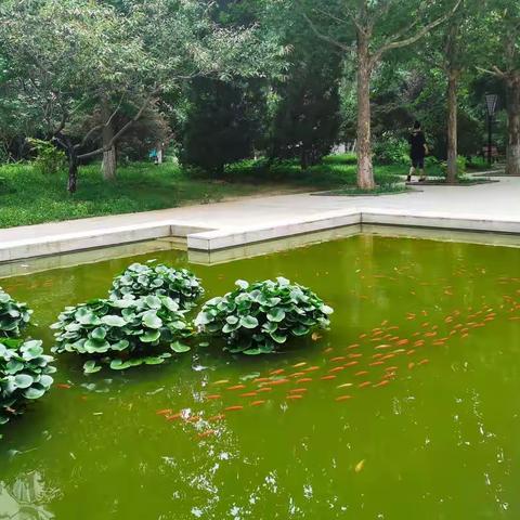 周末快乐时光。盛夏，天气炎热，在小朋友的强烈要求下，我们走出了空