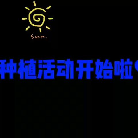 和苗苗共成长，六幼大班组"云种植"活动