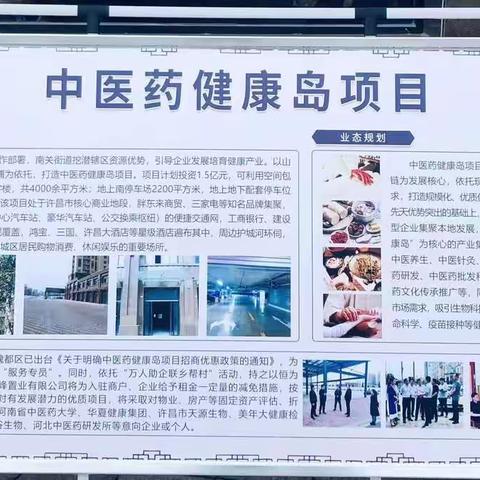 中医药健康岛义诊活动，助力振兴中华传统医药