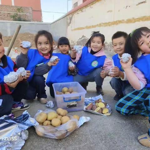 同心县第一幼儿园中大班班本课程“嗨！土豆”