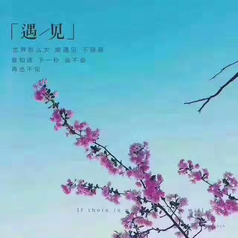 沿途遇见美丽的自己