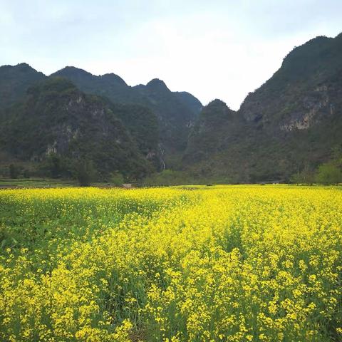 行摄七彩云南（七）