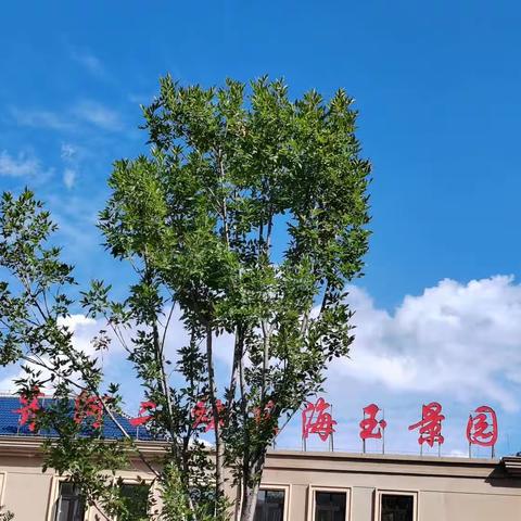 童心爱祖国，欢乐国庆节                                          ——齐河二幼东海玉景园分园