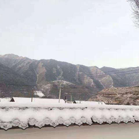 洮河生态建设管护中心大峪林区11月29日降雪情况统计