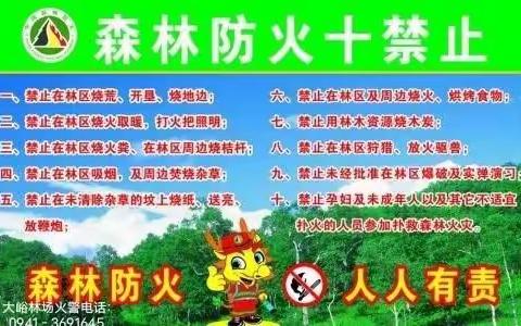 预防森林火灾  守护平安清明