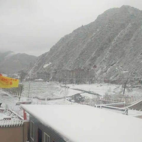 洮河生态建设管护中心大峪林区11月12日降雪情况统计