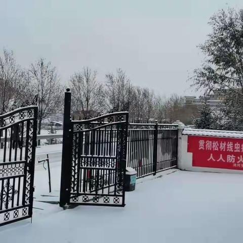 洮河生态建设管护中心大峪林区12月8日降雪情况统计