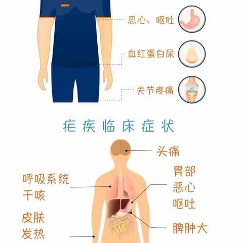 “全国疟疾日”，宣传活动