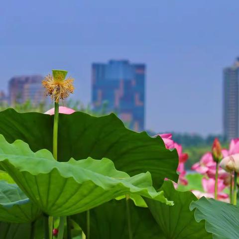 雨后市民公园