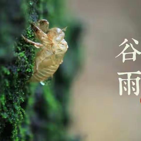 健康教育所4.20工作动态