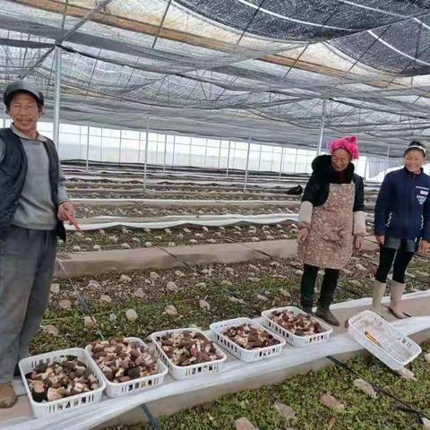 助推烟叶生产转型升级、实现烟农双盈增收