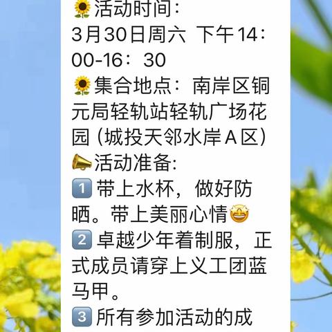 2024春方红霖团范宸瑞小队第三次团集会活动主题《自然元素》