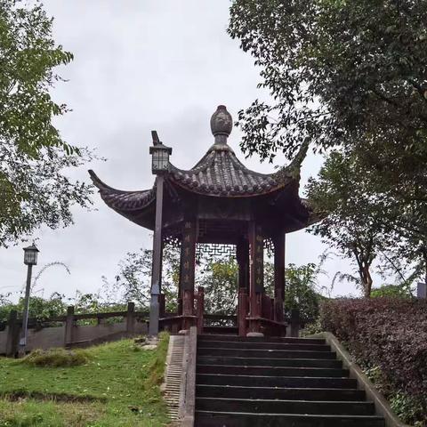 亭中望雨