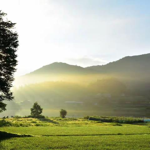 共享山顶光辉