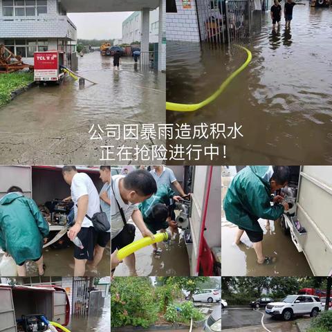 爱比雨大，龙润扶沟公司办公场所全面消杀进行中……