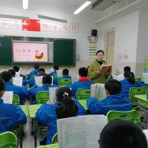 公开课上展风采 听课评课促成长——召陵区实验中学小学部北校区语文组公开课评课议课教研活动