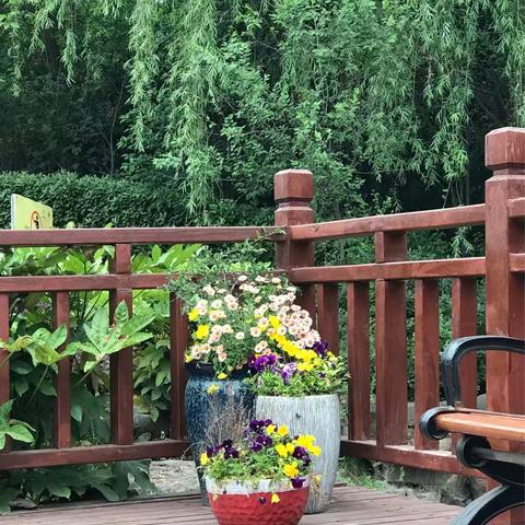 To the memory of my dear mother.