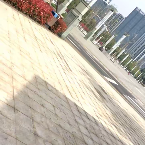 桃花盛开的时光