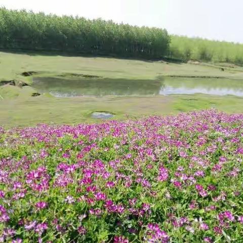 武陵区诗词班春游