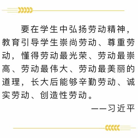 2023年新兴县新城镇昌桥小学劳动教育活动 “巧手制作美味  米味征服味蕾”实践课