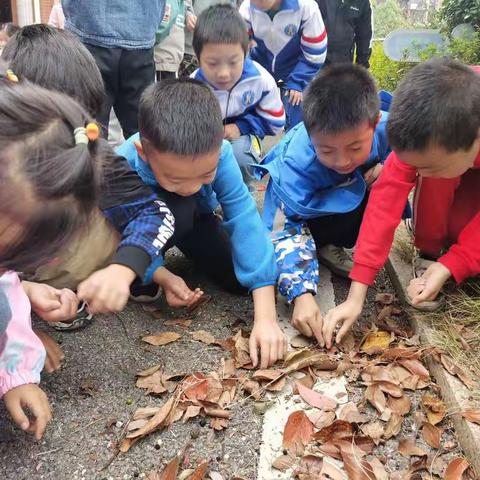 寒露|物情潇洒，百般景物堪图画