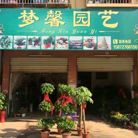 梦馨园艺店铺