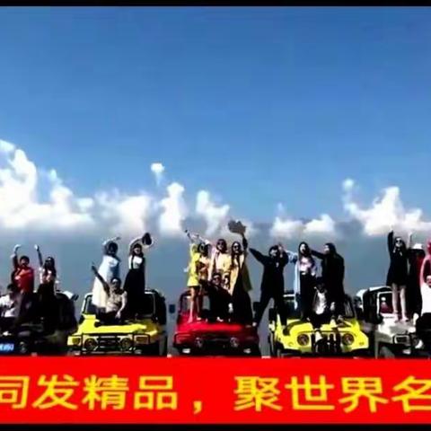 价值VS创新－蛋鸡盈利新模式