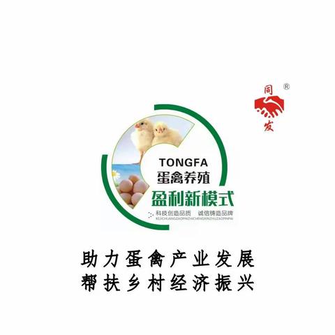 战杰：18003960281的美篇