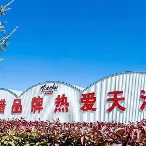 有一种责任叫坚守—静默日记