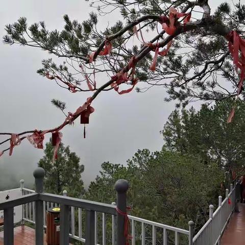 金秋赏红叶  情定人祖山