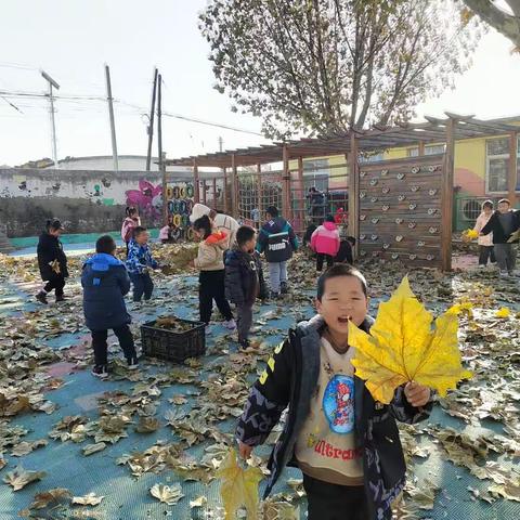 “我和叶子有个约会”—兴隆庄幼儿园大班组特色主题活动