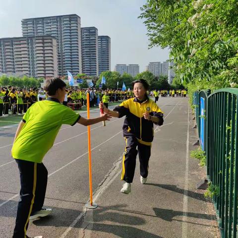 前路漫漫，奋力前行-2022-2023学年个人总结