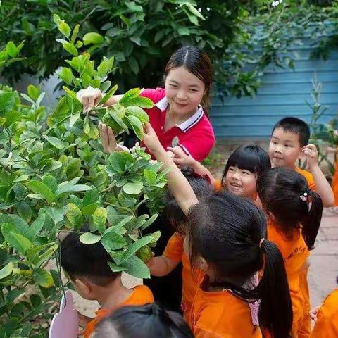 惠东县新徽乐贝儿幼儿园户外活动分享