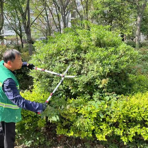 平顶山示范区春日养护游记