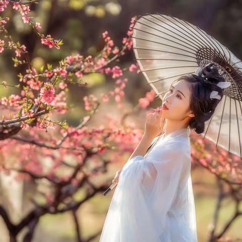 中国渤海湾影像视界艺术作品展【34期】
