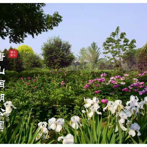 2019母亲节快乐！