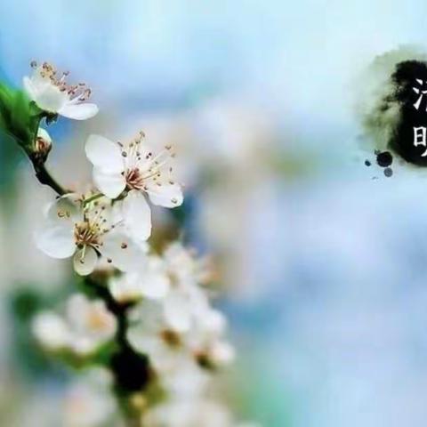 “浓情清明 浸润童心”🍀——明日之星城南幼儿园清明节系列活动