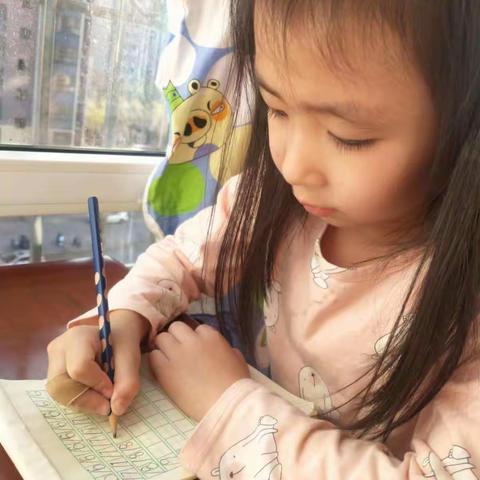 幼小衔接——我们在行动！
