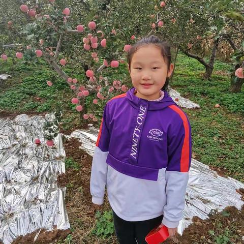 庆丰收，迎国庆
