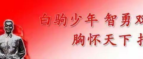 教学相长 研无止境——四年级语文组第八周教研活动