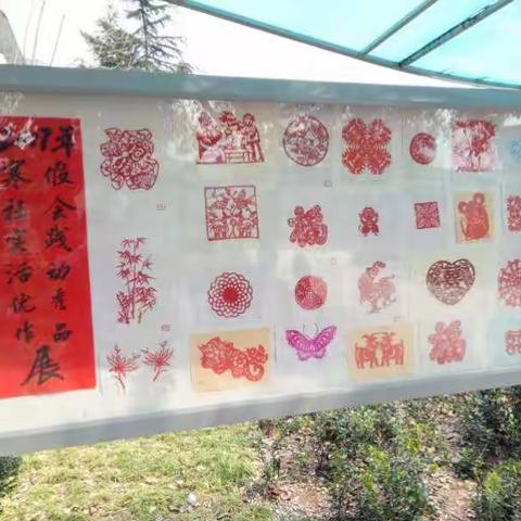 2017古市中学社会实践成果展