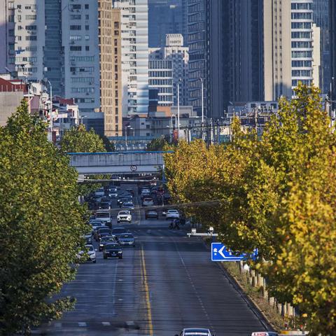 岚皋路桥上看风景