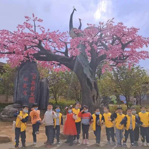 红苹果幼儿园春游活动—春暖花开，“樱”你而来