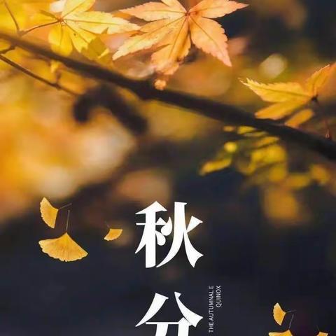 深秋，不说相思…