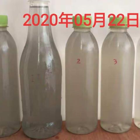 2020年5月22日云南石屏黑臭河道治理工作日报