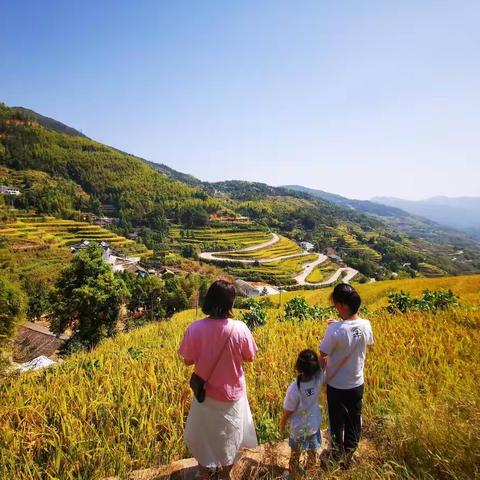 金川梯田