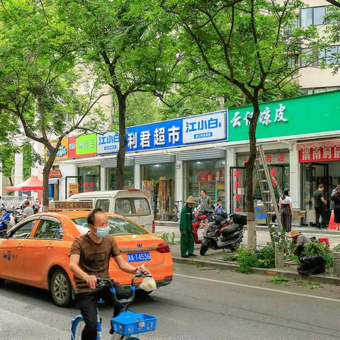 绿化修剪——为了城市道路安全