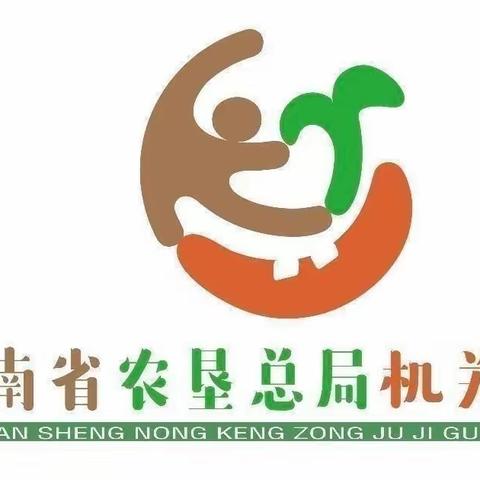 海南省农垦总局机关幼儿园现代分园中班组第三周活动剪影