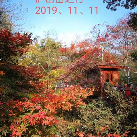 2019.11庐山恋之行，手机随拍囬忆篇